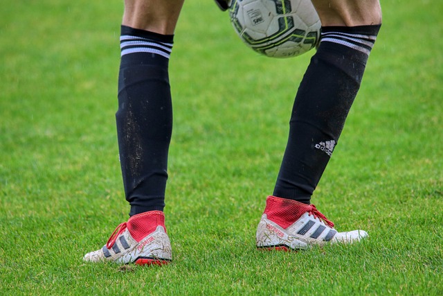 了在季后赛 了在季后赛