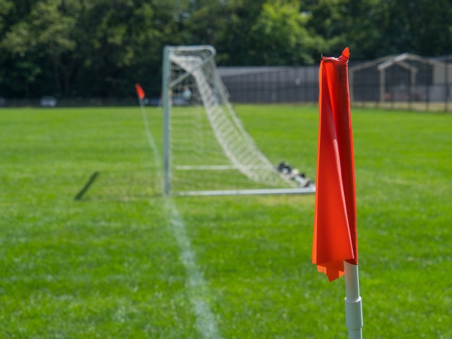 以利用主场 以利用主场