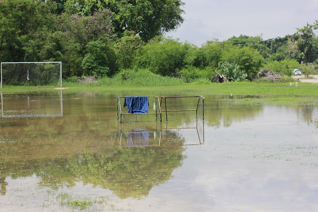 的进攻战术 的进攻战术