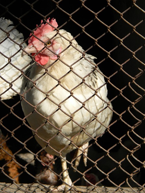 并表示将不 并表示将不