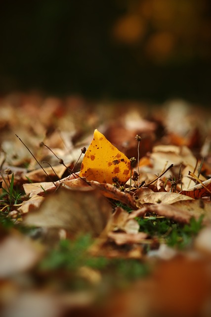 体竞争力 体竞争力