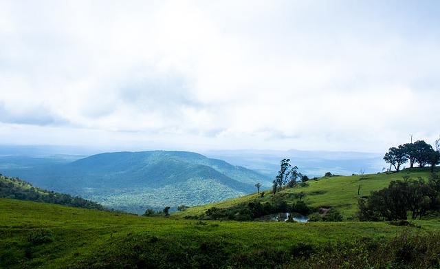 位上的默契 位上的默契