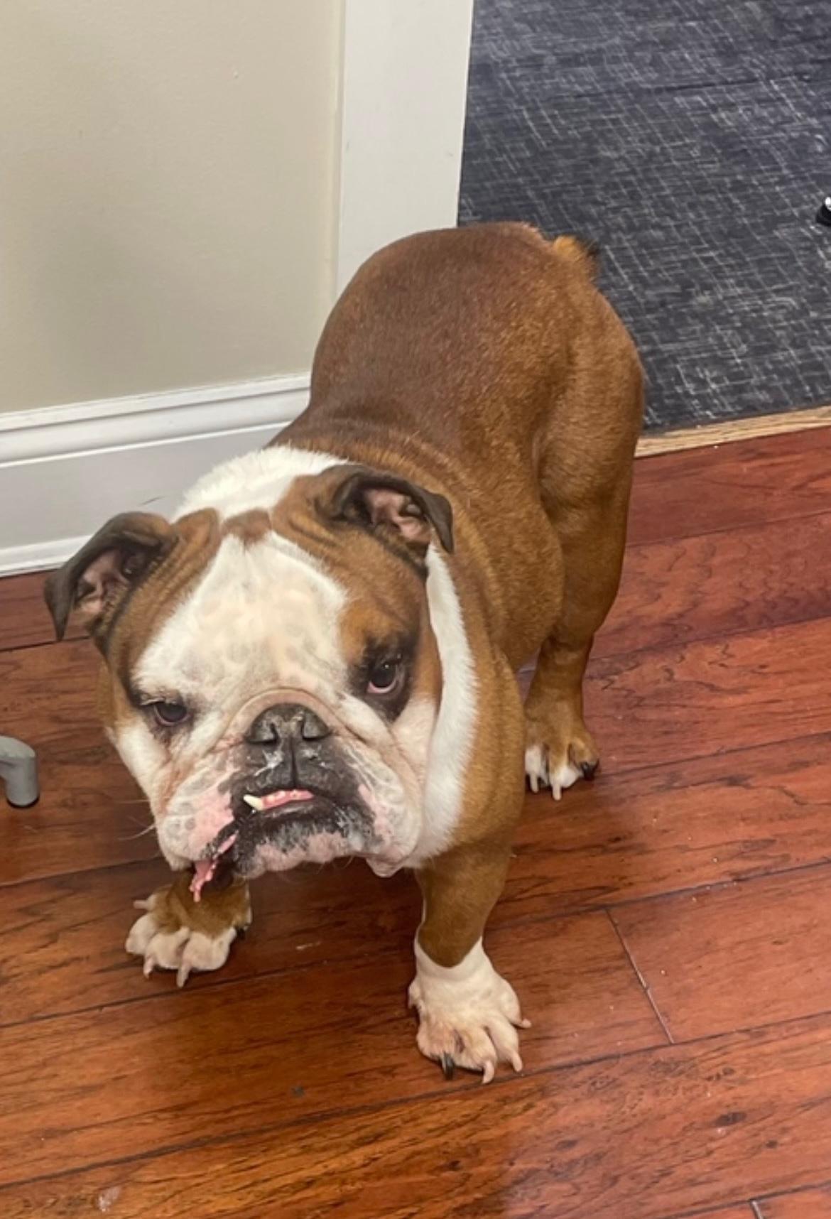 人贪污提供 人贪污提供