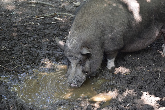 中力和敏锐 中力和敏锐