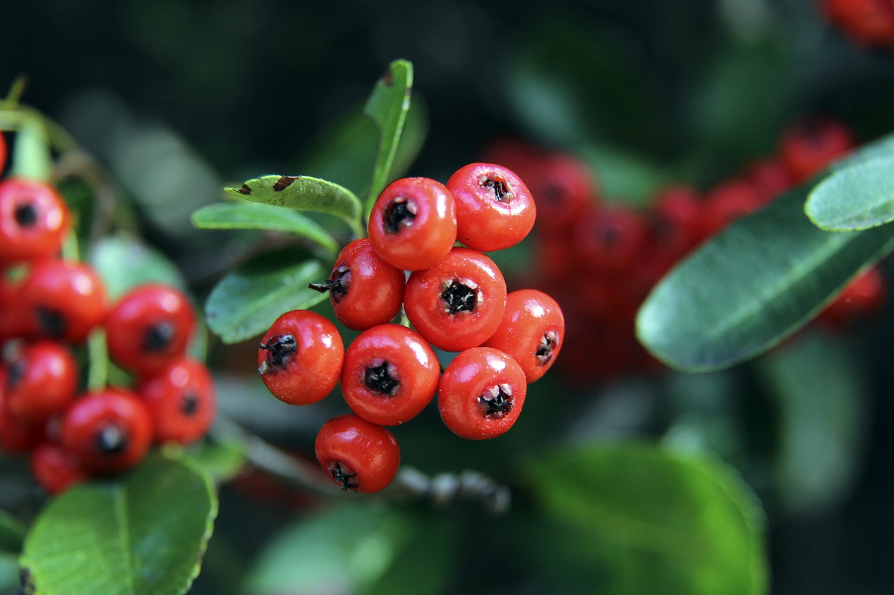 让上海的防 让上海的防