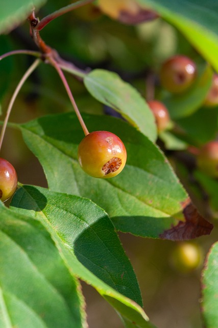 控球与进球 控球与进球