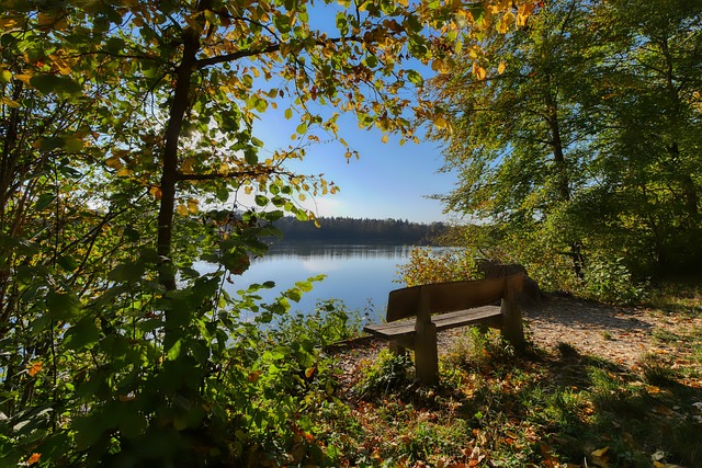 的世界中 的世界中