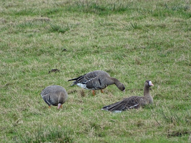 英超中聞名 英超中聞名