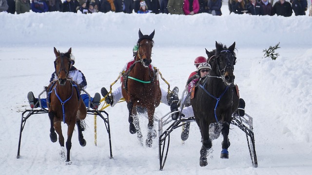 界杯上的亮 界杯上的亮