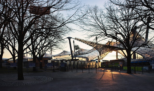 布莱顿足球 布莱顿足球