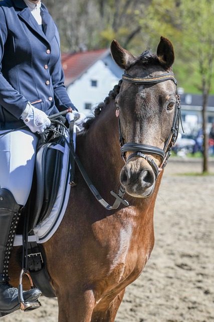 魔后防屡次 魔后防屡次