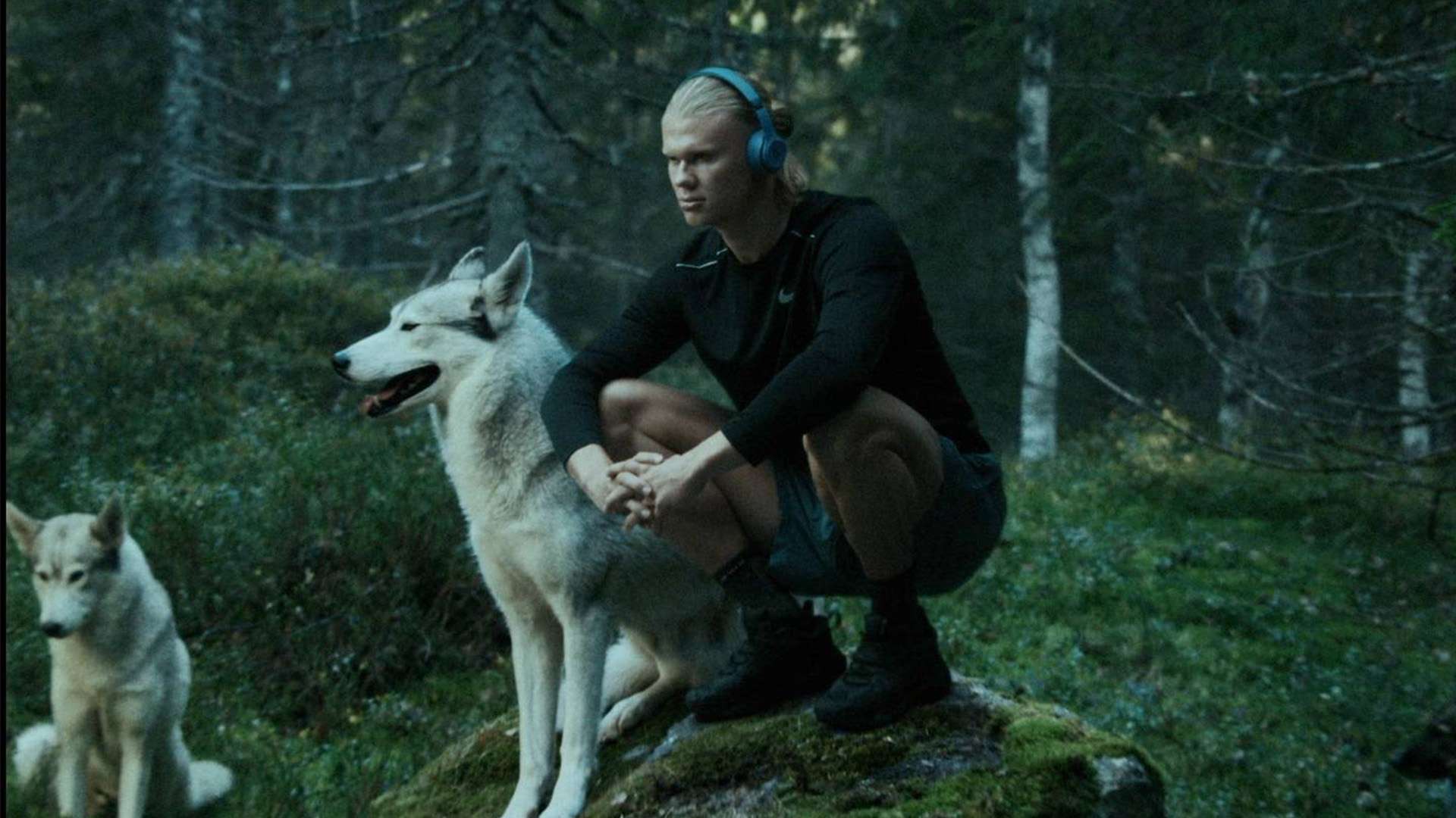 名字写上得 名字写上得