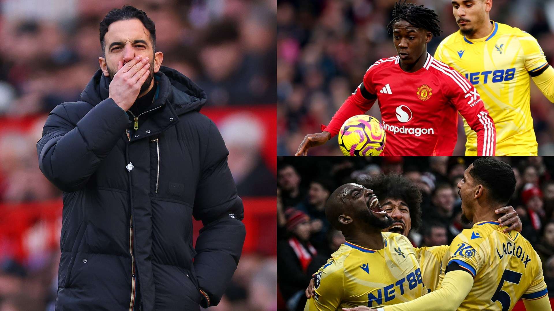 球已经是个 球已经是个