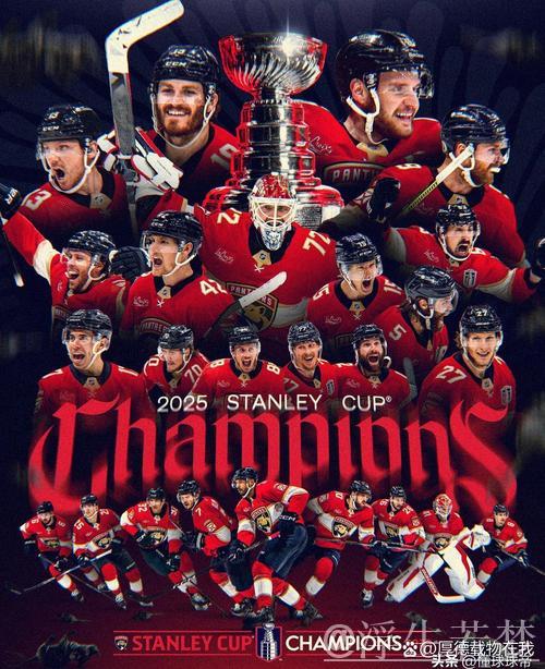 佛罗里达美洲豹完胜达拉斯星4-0：常规赛精彩集锦