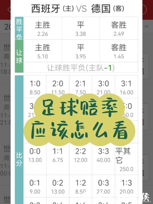 世界杯投注入口赔率分析与投注策略 世界杯投注入口赔率分析与投注策略